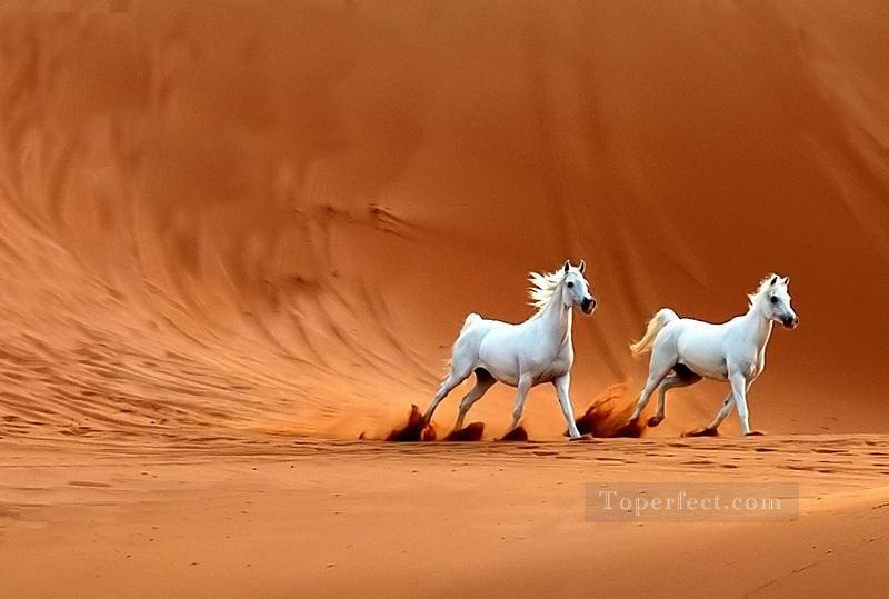 砂漠の二頭の白い馬油絵